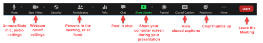 Zoom meeting toolbar showing icons and their functions: mute/unmute microphone, start/stop video, view participants, open polls, open chat, share screen, record, view closed captions, use reactions, and leave meeting. Each button has a red label explaining its purpose