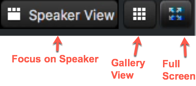 Zoom view options bar with buttons labeled Speaker View, Gallery View, and Full Screen, each marked with arrows and captions describing their functions