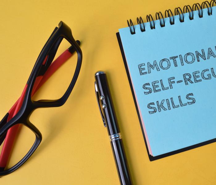 Self Regulation