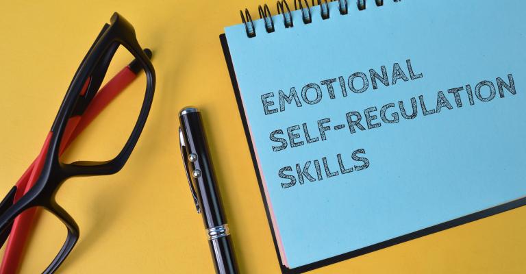 Self Regulation